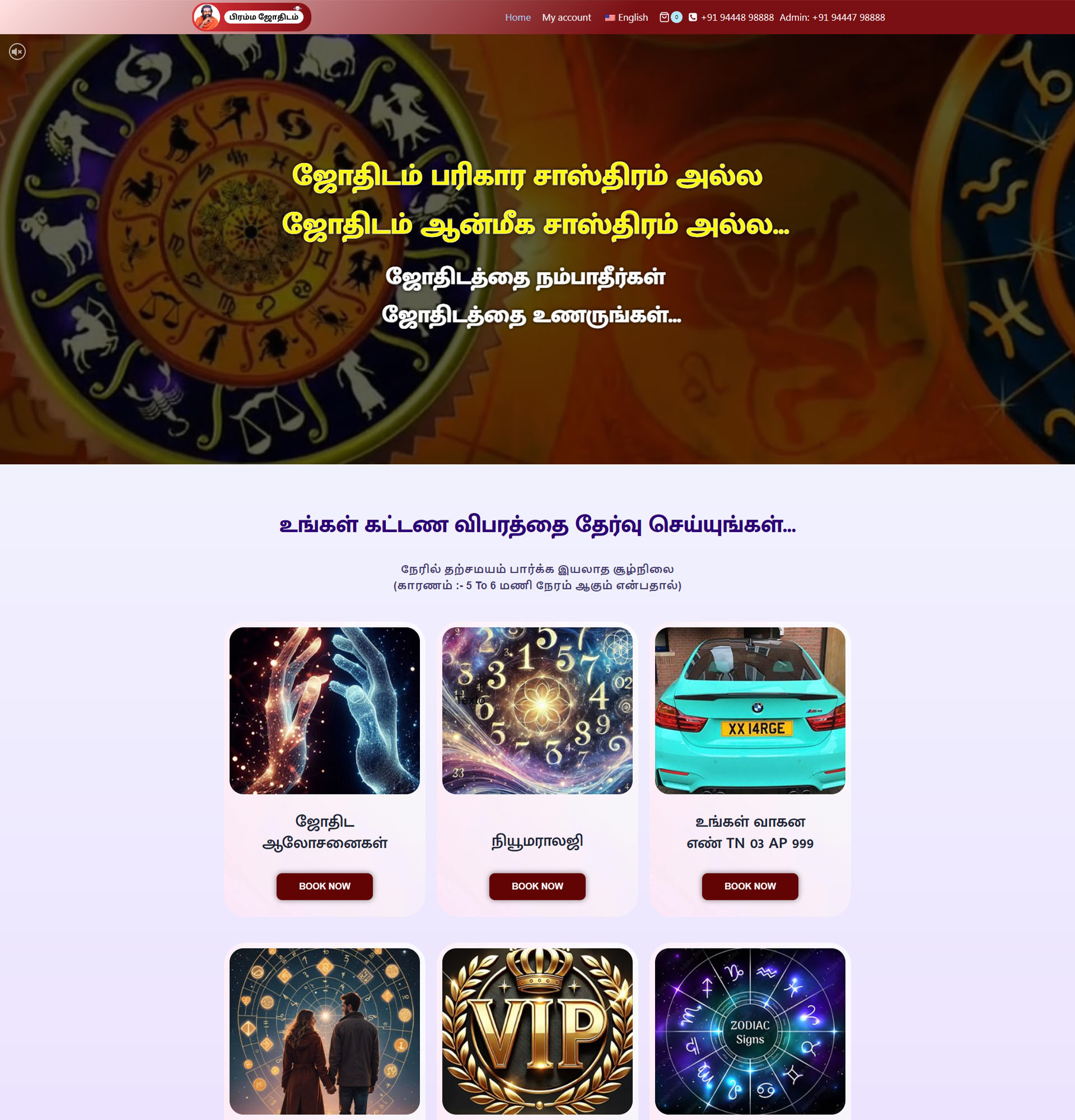 website development service business website project