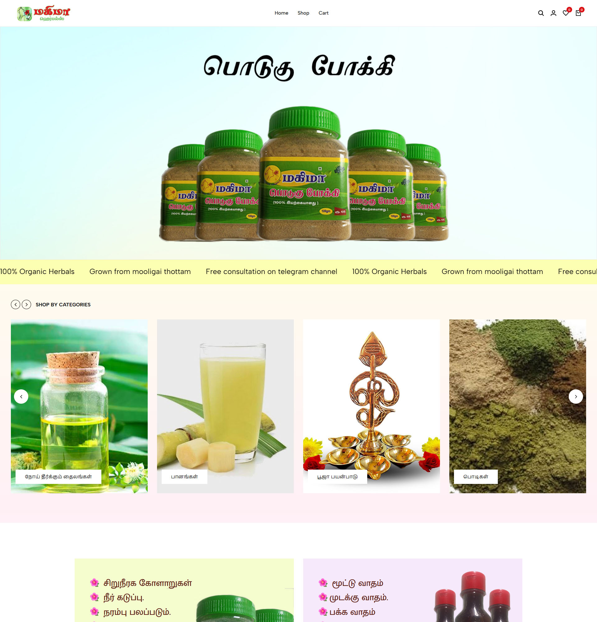 web design for ecommerce website herbal store