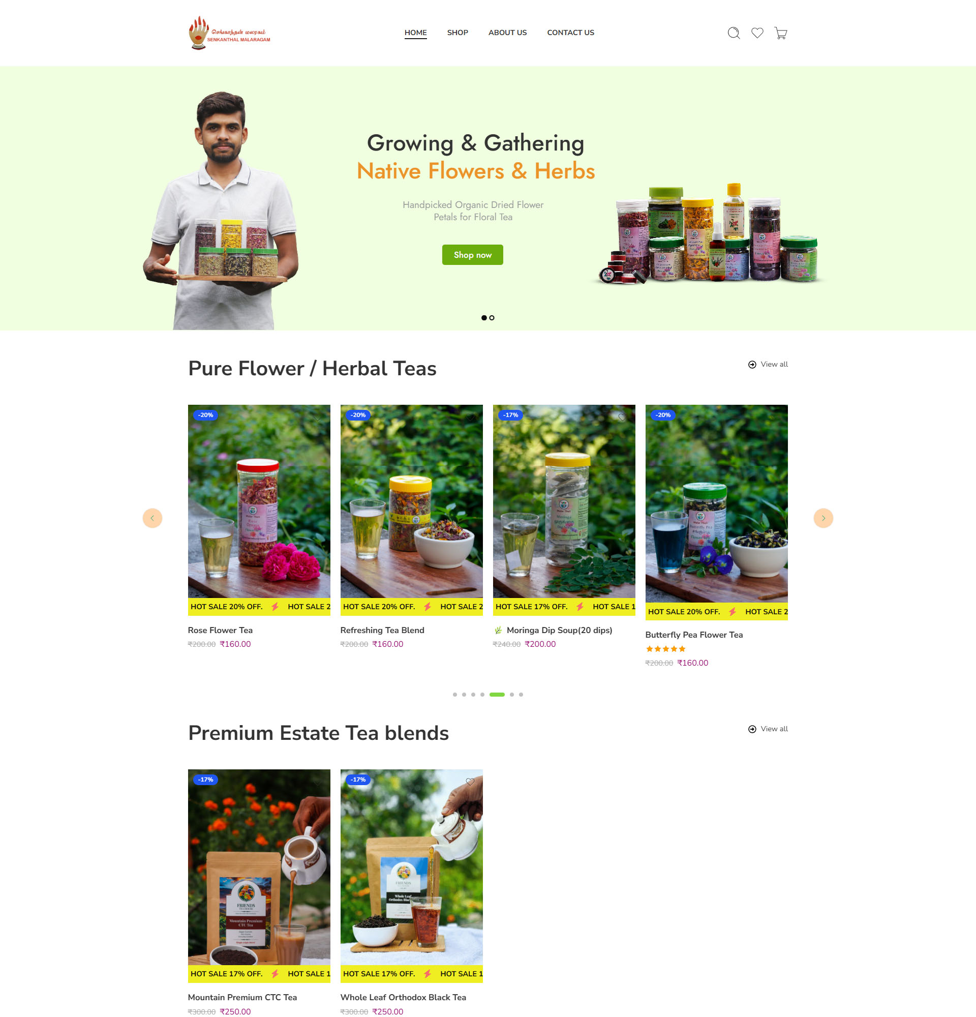 ecommerce site design project built with WordPress